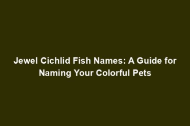 Jewel Cichlid Fish Names: A Guide for Naming Your Colorful Pets