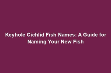 Keyhole Cichlid Fish Names: A Guide for Naming Your New Fish