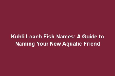 Kuhli Loach Fish Names: A Guide to Naming Your New Aquatic Friend