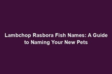 Lambchop Rasbora Fish Names: A Guide to Naming Your New Pets