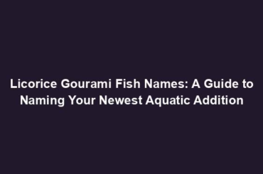 Licorice Gourami Fish Names: A Guide to Naming Your Newest Aquatic Addition