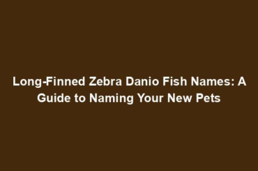 Long-Finned Zebra Danio Fish Names: A Guide to Naming Your New Pets