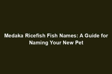 Medaka Ricefish Fish Names: A Guide for Naming Your New Pet