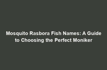 Mosquito Rasbora Fish Names: A Guide to Choosing the Perfect Moniker