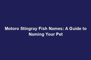 Motoro Stingray Fish Names: A Guide to Naming Your Pet