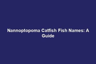 Nannoptopoma Catfish Fish Names: A Guide