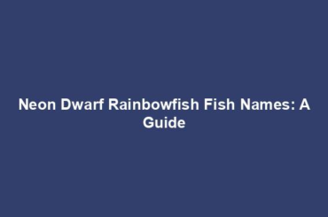 Neon Dwarf Rainbowfish Fish Names: A Guide