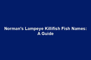 Norman's Lampeye Killifish Fish Names: A Guide