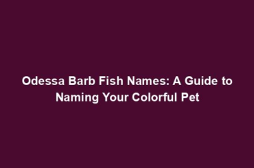 Odessa Barb Fish Names: A Guide to Naming Your Colorful Pet