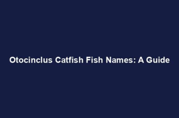 Otocinclus Catfish Fish Names: A Guide