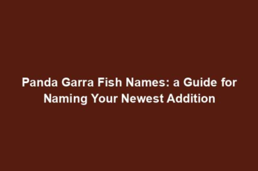 Panda Garra Fish Names: a Guide for Naming Your Newest Addition