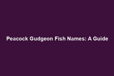 Peacock Gudgeon Fish Names: A Guide