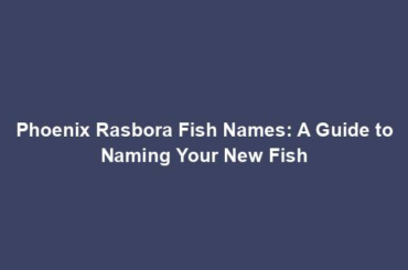 Phoenix Rasbora Fish Names: A Guide to Naming Your New Fish