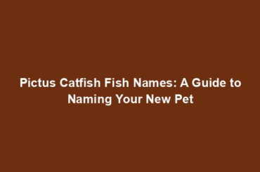 Pictus Catfish Fish Names: A Guide to Naming Your New Pet