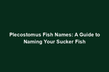 Plecostomus Fish Names: A Guide to Naming Your Sucker Fish