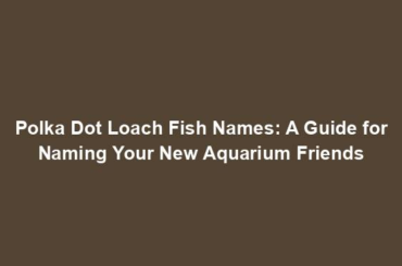 Polka Dot Loach Fish Names: A Guide for Naming Your New Aquarium Friends