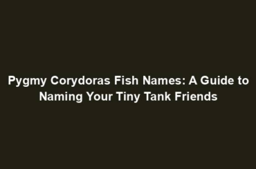 Pygmy Corydoras Fish Names: A Guide to Naming Your Tiny Tank Friends