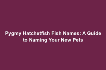 Pygmy Hatchetfish Fish Names: A Guide to Naming Your New Pets