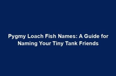 Pygmy Loach Fish Names: A Guide for Naming Your Tiny Tank Friends