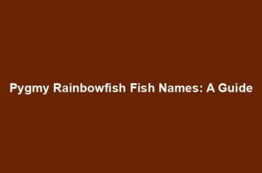 Pygmy Rainbowfish Fish Names: A Guide