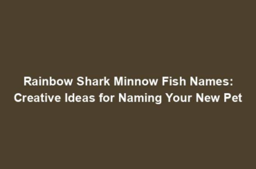 Rainbow Shark Minnow Fish Names: Creative Ideas for Naming Your New Pet