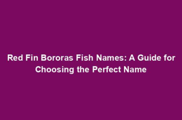 Red Fin Bororas Fish Names: A Guide for Choosing the Perfect Name