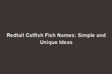 Redtail Catfish Fish Names: Simple and Unique Ideas