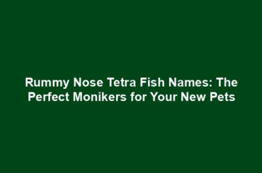 Rummy Nose Tetra Fish Names: The Perfect Monikers for Your New Pets