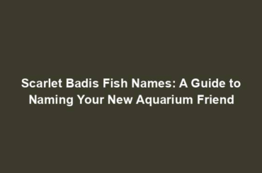 Scarlet Badis Fish Names: A Guide to Naming Your New Aquarium Friend