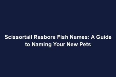 Scissortail Rasbora Fish Names: A Guide to Naming Your New Pets