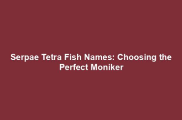 Serpae Tetra Fish Names: Choosing the Perfect Moniker