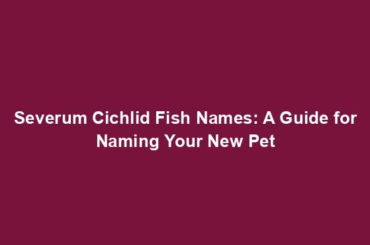 Severum Cichlid Fish Names: A Guide for Naming Your New Pet