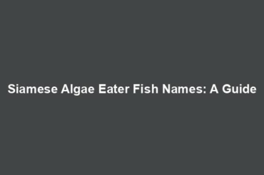 Siamese Algae Eater Fish Names: A Guide