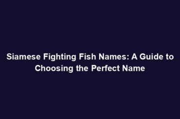 Siamese Fighting Fish Names: A Guide to Choosing the Perfect Name