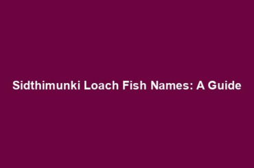 Sidthimunki Loach Fish Names: A Guide