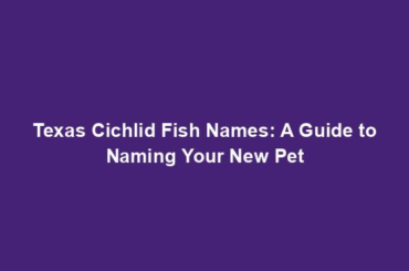 Texas Cichlid Fish Names: A Guide to Naming Your New Pet