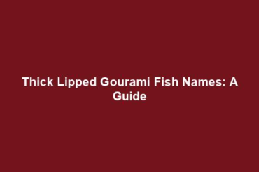 Thick Lipped Gourami Fish Names: A Guide