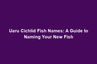 Uaru Cichlid Fish Names: A Guide to Naming Your New Fish