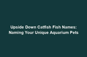 Upside Down Catfish Fish Names: Naming Your Unique Aquarium Pets