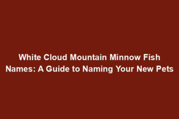 White Cloud Mountain Minnow Fish Names: A Guide to Naming Your New Pets