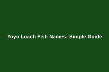 Yoyo Loach Fish Names: Simple Guide