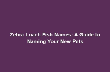 Zebra Loach Fish Names: A Guide to Naming Your New Pets