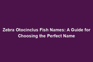 Zebra Otocinclus Fish Names: A Guide for Choosing the Perfect Name