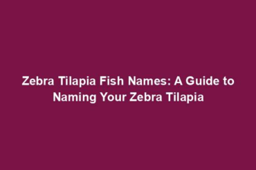 Zebra Tilapia Fish Names: A Guide to Naming Your Zebra Tilapia